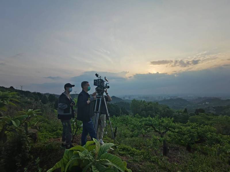 创意破圈！石台县电商产品宣传视频用故事化叙事引爆流量